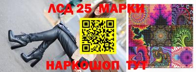 гидропоника Пенза