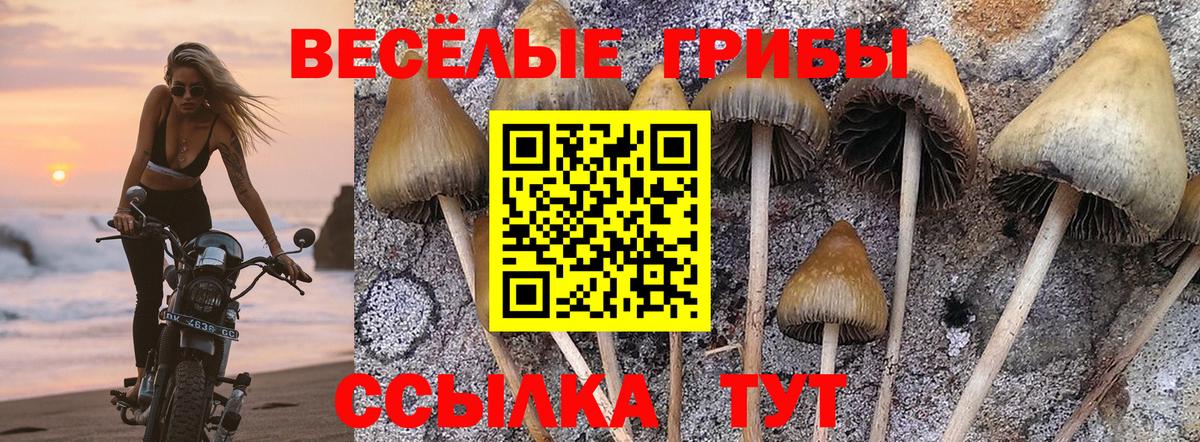 Галлюциногенные грибы мицелий Сыктывкар
