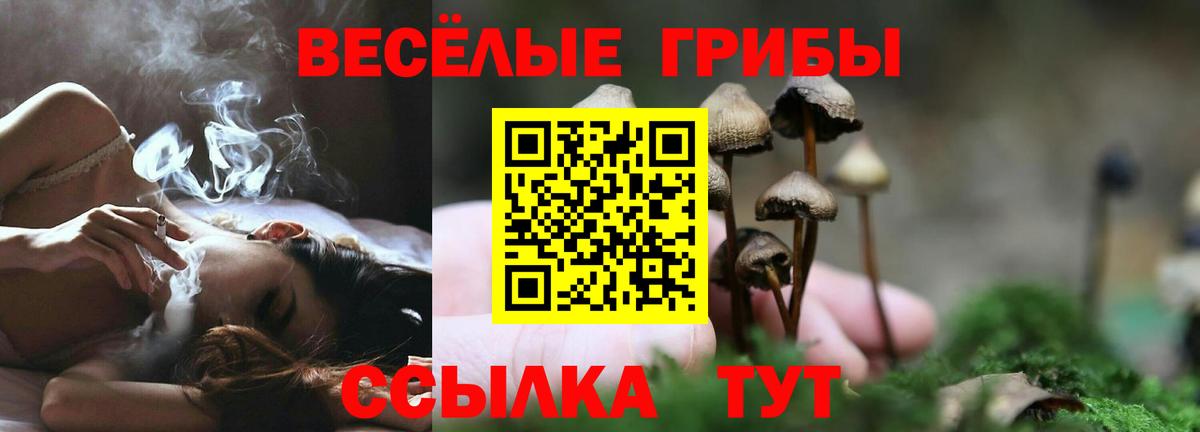 Псилоцибиновые грибы GOLDEN TEACHER  Вход с VPN  Сыктывкар  Галлюциногенные грибы ЛСД 